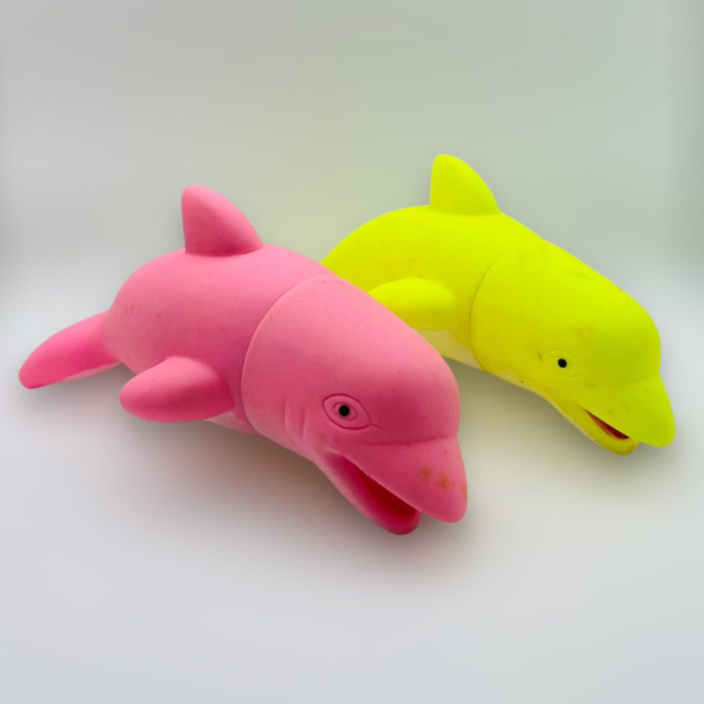 DELFIN CHILLÓN